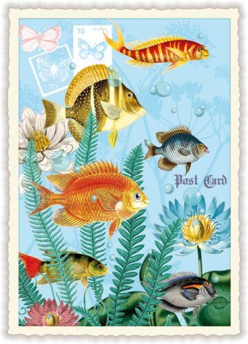 Tropical Fish Blank Postcard 