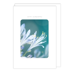 White Petals Symathy Card 