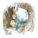 White Winter Boxed Cards - XIT460BX