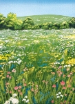 Wildflowers Blank Greeting Card 