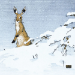 Winter Woodcuts Boxed Cards - XET467
