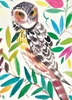 Wise Owl Blank Card 
