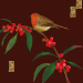 Xmas Birds Boxed Cards - XMBOX88
