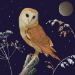 Xmas Birds Boxed Cards - XMBOX88