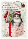 Xmas Cat Box Postcard 