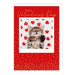 Kitten Valentines Day Card 