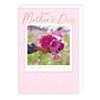 Flowers Mothers Day Card 