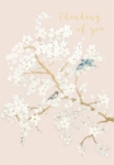 White Flower Branches Thinking of You Card