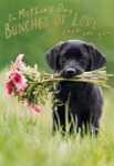 Bunches of Love Mother's Day Card