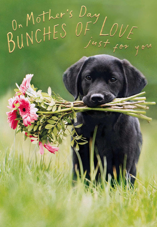 Bunches of Love Mother's Day Card