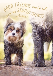 Good Friends Dog Greeting Card