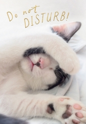 Do Not Disturb Blank Card