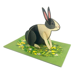 Pop-Out Pet Rabbit Blank Card 
