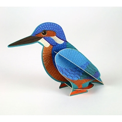 Pop-Out Bird Kingfisher Blank Card 