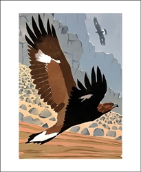 Eagles Blank Card 