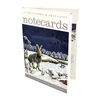 Winter Hares & Midwinter Starlings Notecard Wallets Christmas
