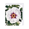 White Flower Blank Card 