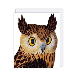Tawny Owl Blank Card 