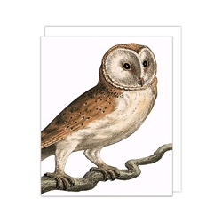 Owl on Branch Blank Card 