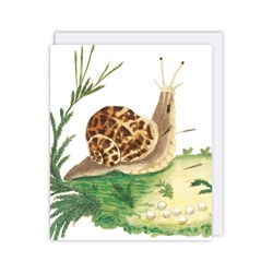 Snail Blank Card 
