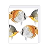 Chaetodon Fish Blank Card 