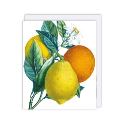 Lemon Blank Card 