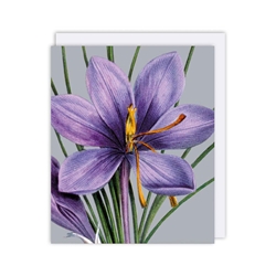 Purple Flower Blank Card 