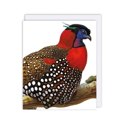 Speckled Bird Blank Card 