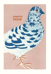 Pigeon Blank card 