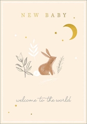 Rabbit Baby Card 
