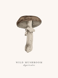 Mushroom Blank Card 