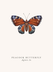 Butterfly Blank Card 