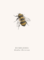 Bee Blank Card 