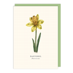 Daffodil Blank Card 