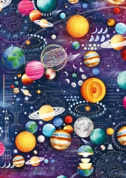 Single Sheet Giftwrap Cosmos