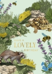 Birthday Turtle Greeting Card