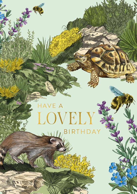 Birthday Turtle Greeting Card