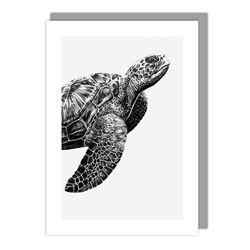 Turtle Blank Card 