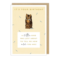 Cat Feathers Birthday Card 