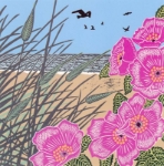 Beach Pink Flowers Blank Card notecards and stationery
