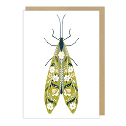 Embossed Green Fly Blank Card 