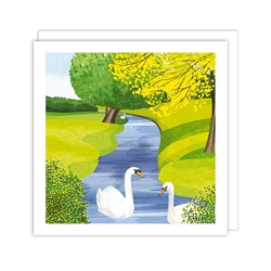 Swans Blank Card 
