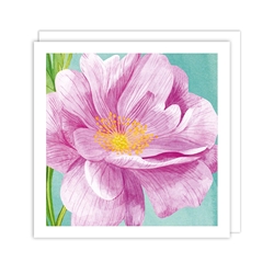 Pink Flower Blank Card 