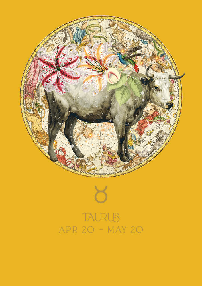 Taurus Zodiac Baby Card