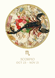 Scorpio Zodiac Baby Card