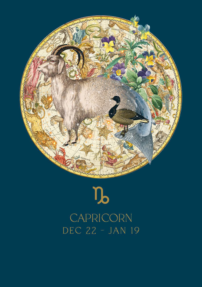 Capricorn Zodiac Baby Card