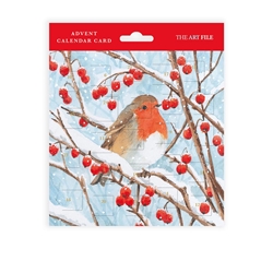 Robin Advent Calendar Christmas Card Christmas