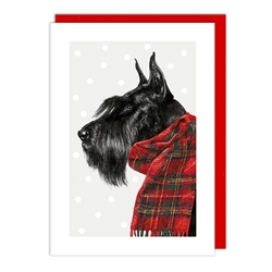 Dogs Scarf Christmas Card Christmas