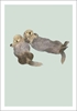 Sea Otters Blank Card 