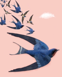 Birds Blank Card